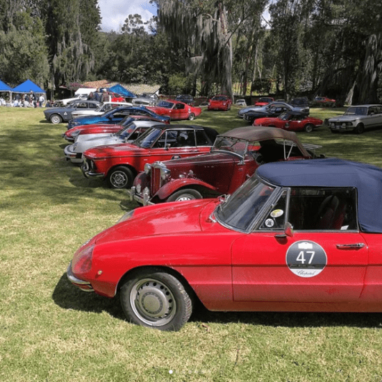 Partida a tramo cronometrado Haciendas Classic Chopard Rally