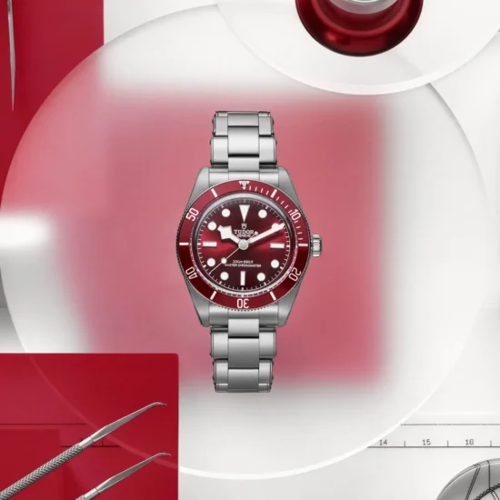 Blog 13 ¡Conoce más sobre los nuevos relojes TUDOR!