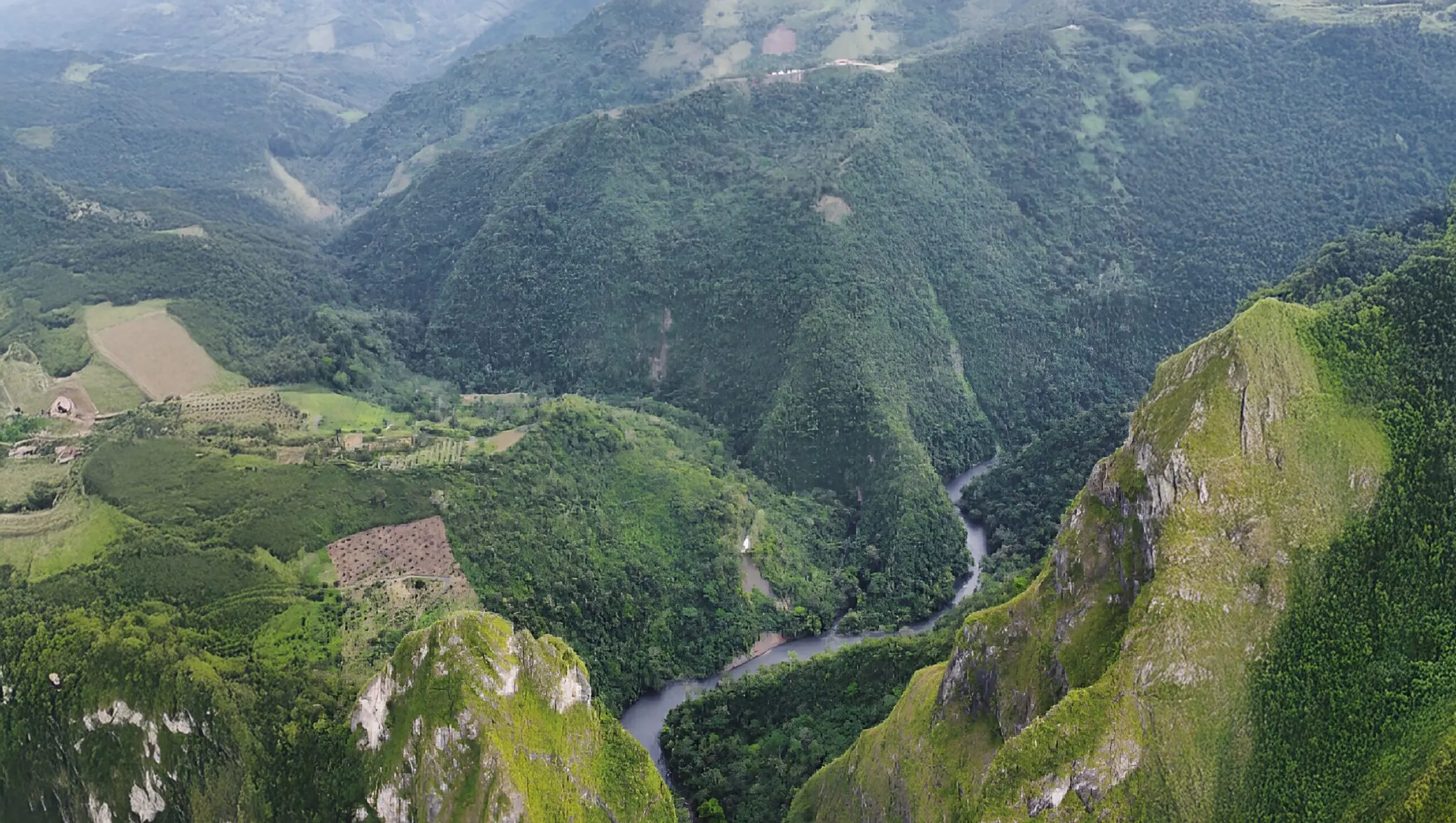 Bauer Esmeraldas 1 montana esmeraldas alta joyeria bauer colombianas